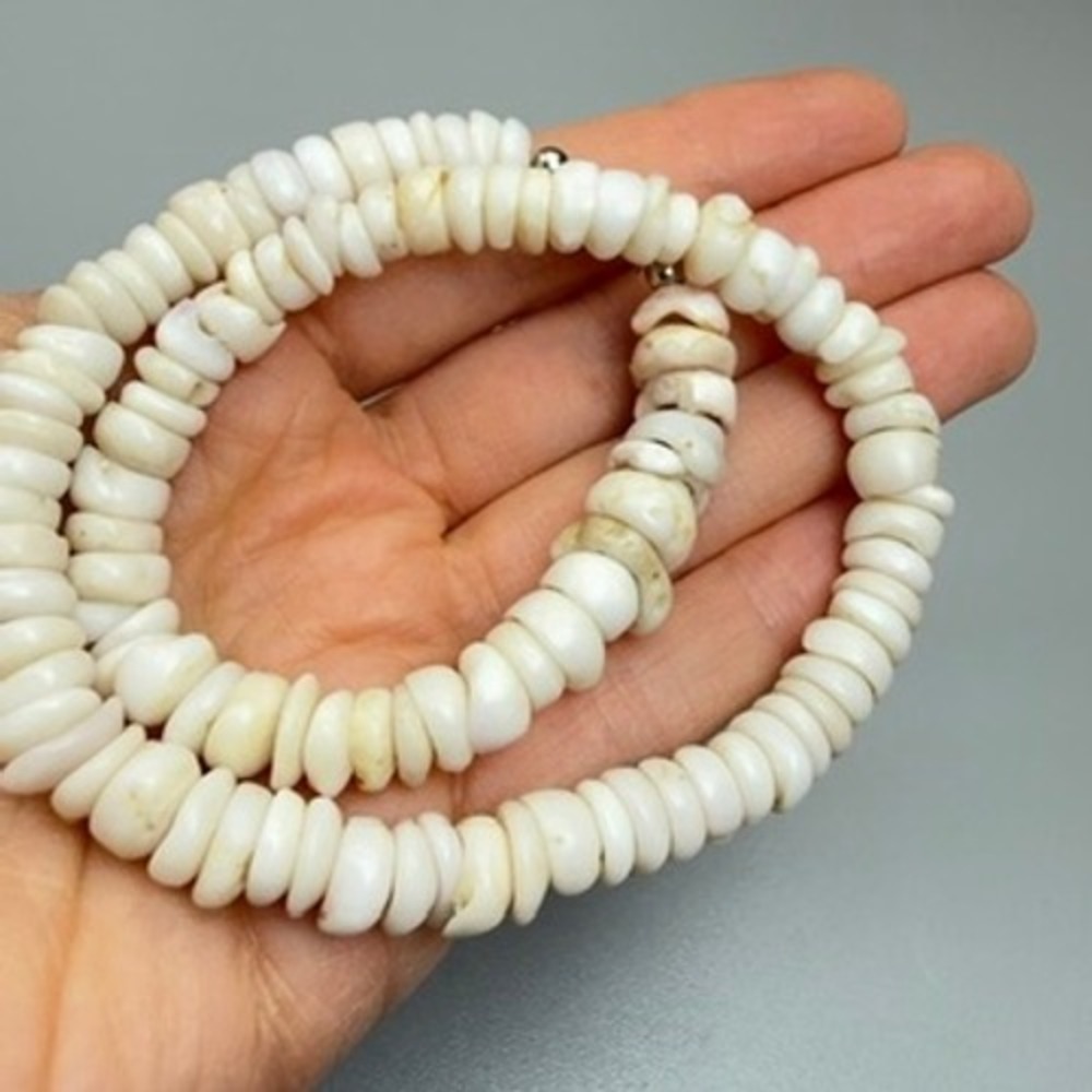 Vintage Large Puka Shell Choker‎ Necklace 13" 1970s Surfer Hawaii